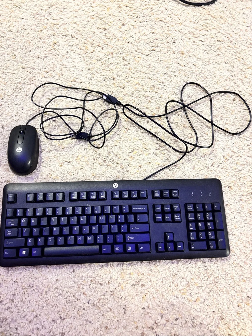 HP Keyboard and Mouse Combo in Black